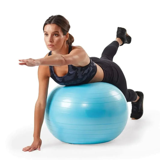 Reebok Weighted Stability Ball With Pump For Exercise