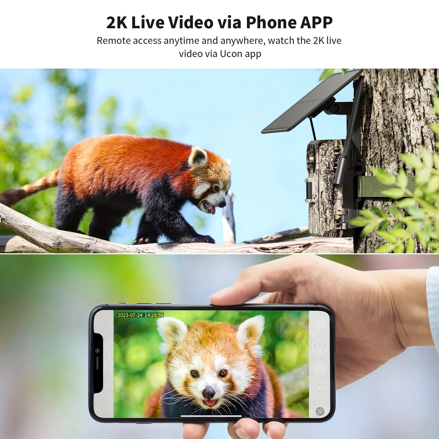 4G LTE Trail Camera 3rd Gen With Live Streaming Built In SIM Card